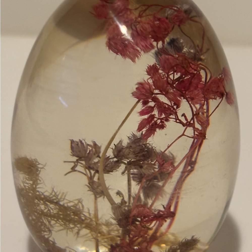 Shackman Dried Flowers Paperweight Acrylic